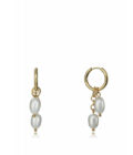 Aros Viceroy mujer en acero dorado con cadena y perlas