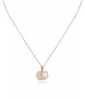 Collar Viceroy mujer de plata chapada con colgante circular de nácar con motivos luna y estrella